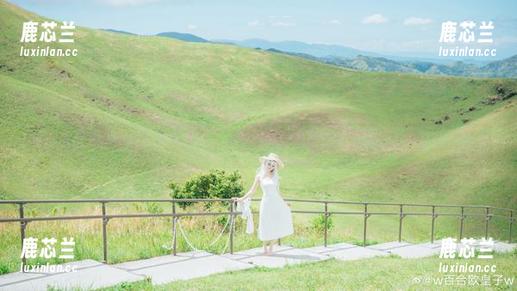 w百合欧皇子w在高清镜头下，小玉旗袍作品散发出浓郁的东方韵味！.txt