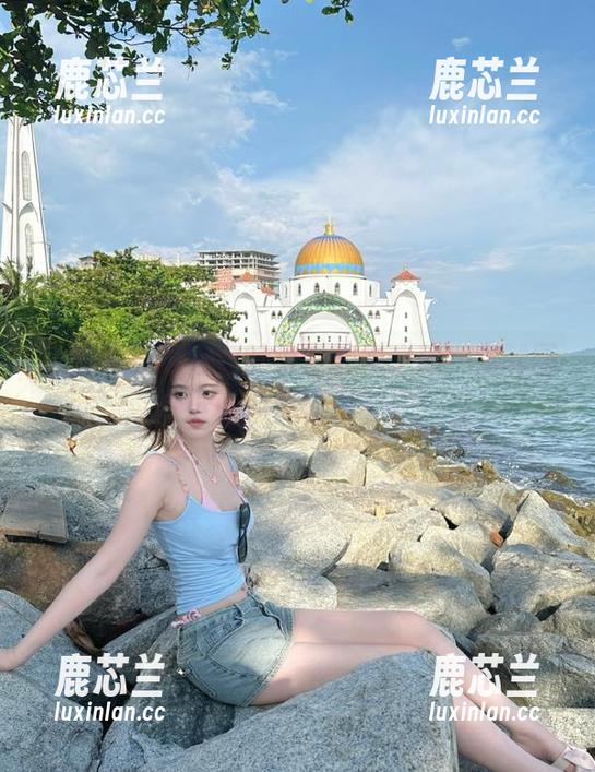 丽柜 - 跟随婷婷的镂空艺术之旅：定制图片让心灵畅游.txt