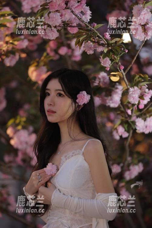 喵写真 无圣光套图来袭,喵写真送你一份与众不同的摄影礼物!.txt