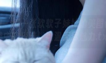 秀人网 - 每一张软软子妹妹的美图都是精选中的精选,重温无尽魅力.txt