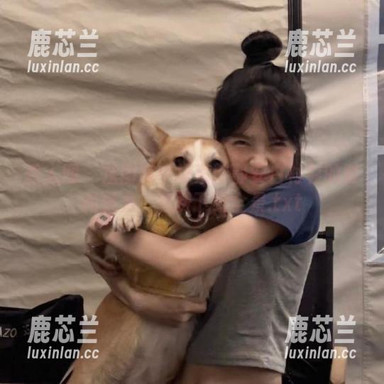 秀人网-韩静安 秀人网 - 从图库中探索韩静安白衬衫的时尚魅力,免费下载全景.txt
