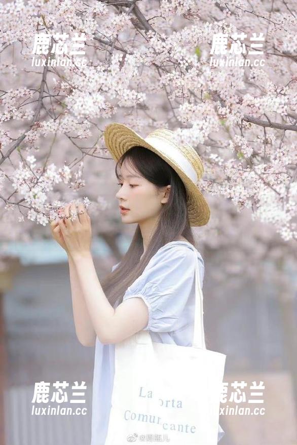 花漾show-赵惟依coco 花漾show - 短裙下的风情,观看赵惟依coco写真展现甜美气质.txt
