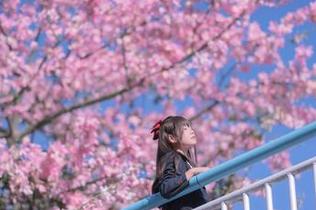 高清萌芽儿o0户外写真资源,探索摄影与自然完美融合的典范.txt